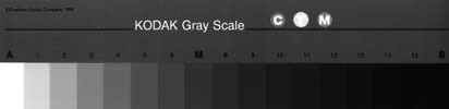 gray scale